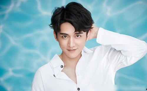 张新成的最新爆料,幕后故事与心路历程