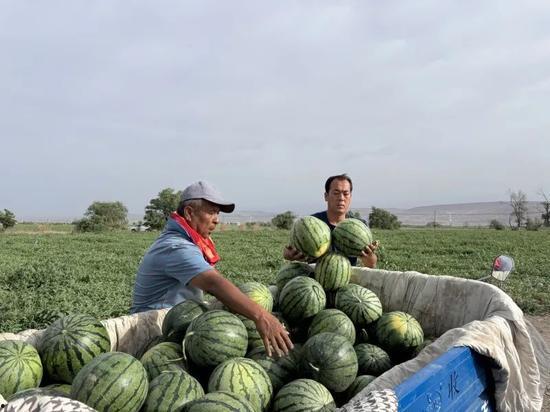 廊坊吃瓜视频最全免费观看,免费观看,一网打尽热门瞬间 第2张 廊坊吃瓜视频最全免费观看,免费观看,一网打尽热门瞬间 第2张